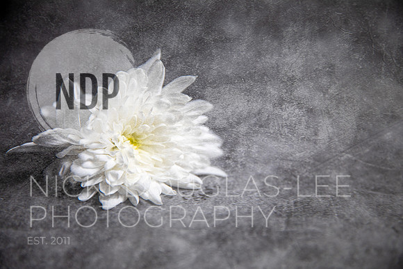Creative Photography