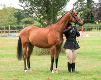 Marden Horse Show 2026
