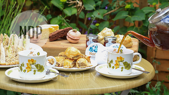 Food photography