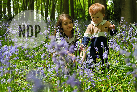 Child Photography