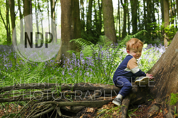 Child Photography