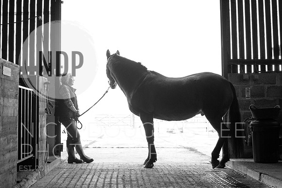 Pet Photography