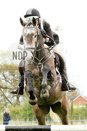 Equestrian