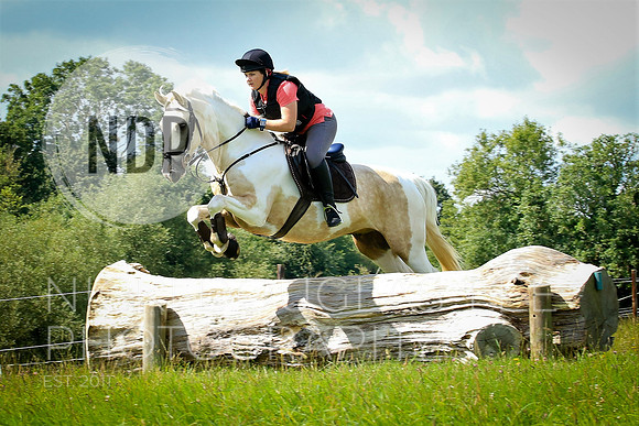 Equestrian