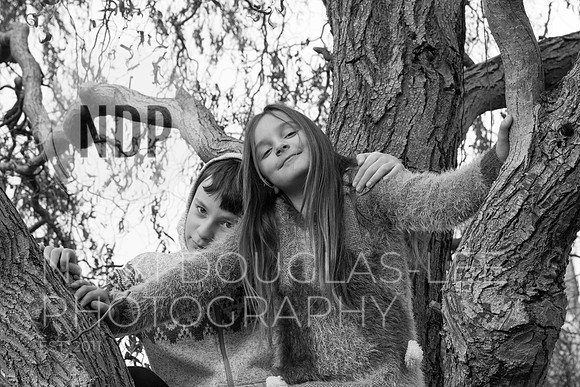 Child Photography