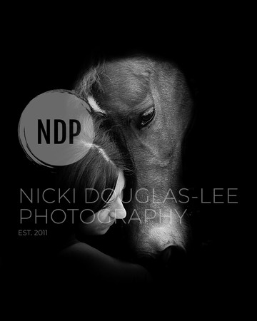Equine Portraits