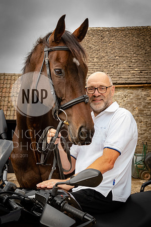 Equine Portraits