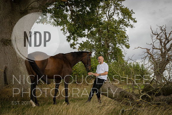 Equine Portraits