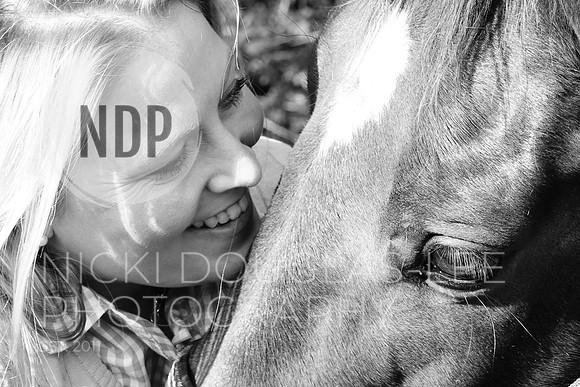 Equine Portraits