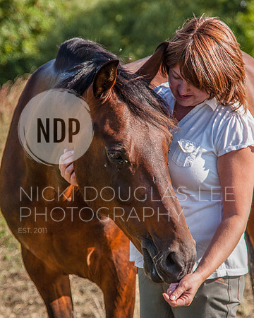 Equine Portraits