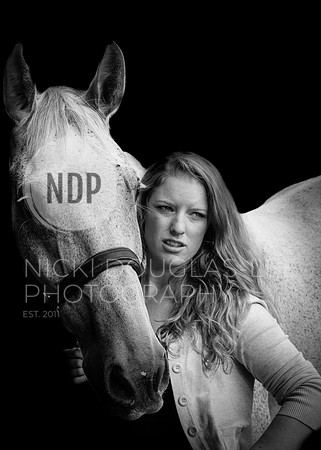 Equine Portrait