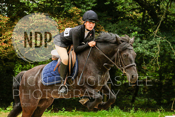 Equestrian