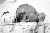 Newborn Photography
