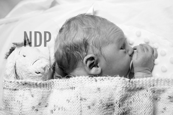 Newborn Photography