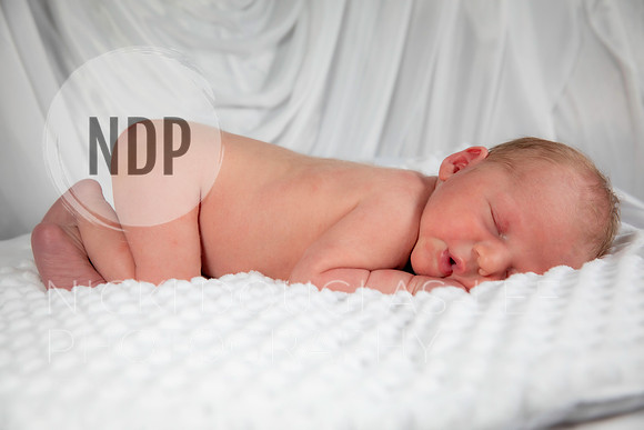 Newborn Photography