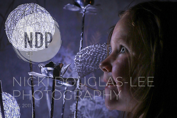 Child Photography